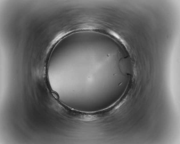 X0000085771459200703161130