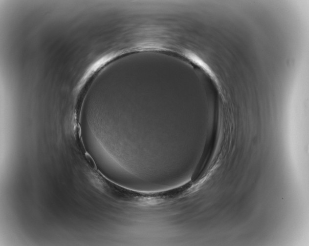 X0000085771461200703161130