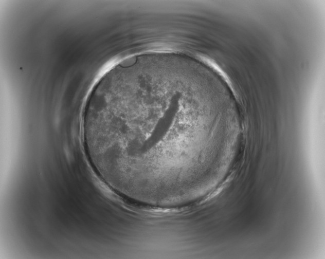 X0000085771467200703161130