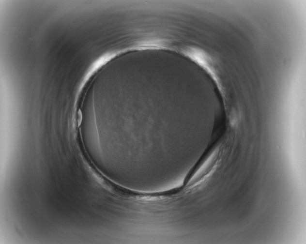 X0000085771469200703161130