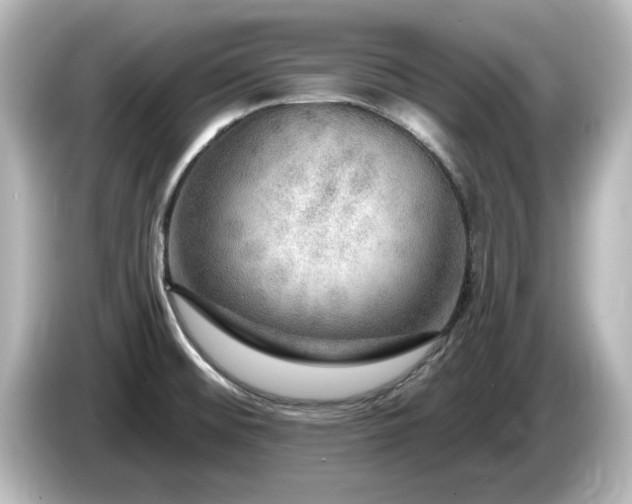 X0000085771476200703161130