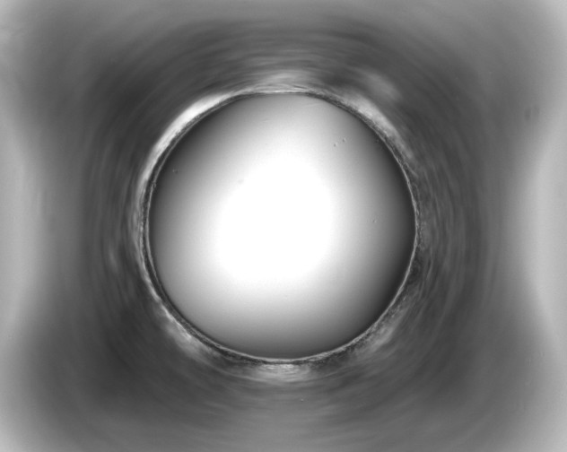 X0000085771478200703161130