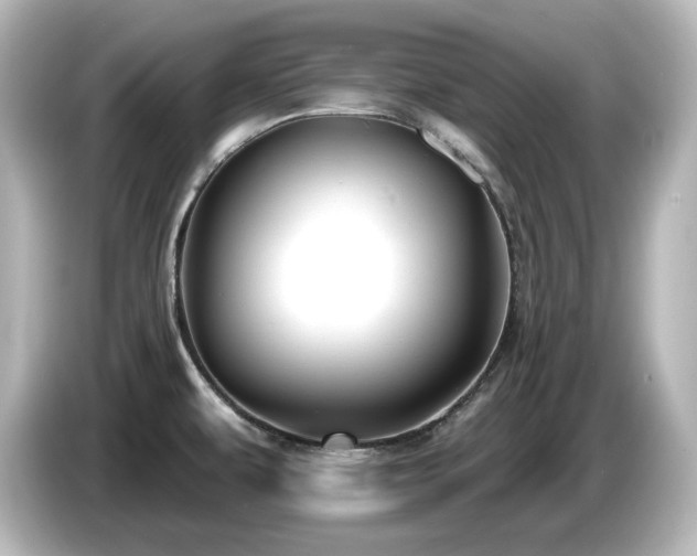 X0000085771479200703161130