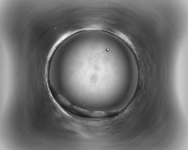 X0000085771480200703161130