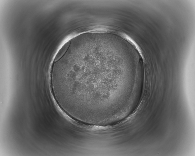 X0000085771483200703161130