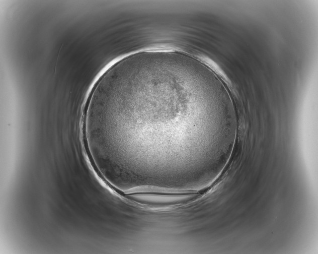 X0000085771484200703161130