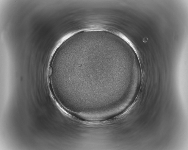 X0000085771485200703161130