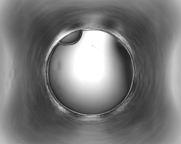 X0000085771486200703161130