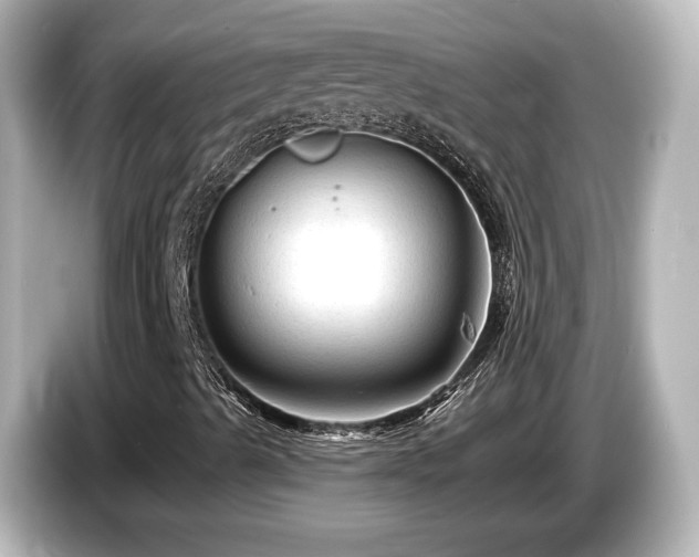 X0000085771489200703161129