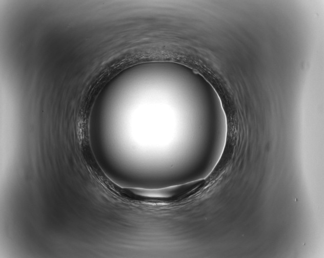 X0000085771490200703161129