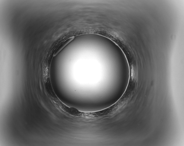 X0000085771492200703161129