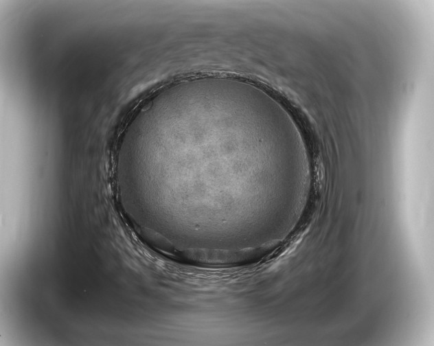 X0000085771494200703161129
