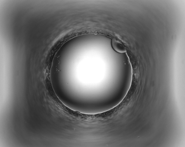 X0000085771495200703161129