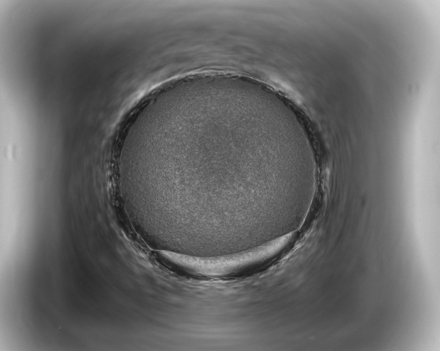 X0000085771496200703161129