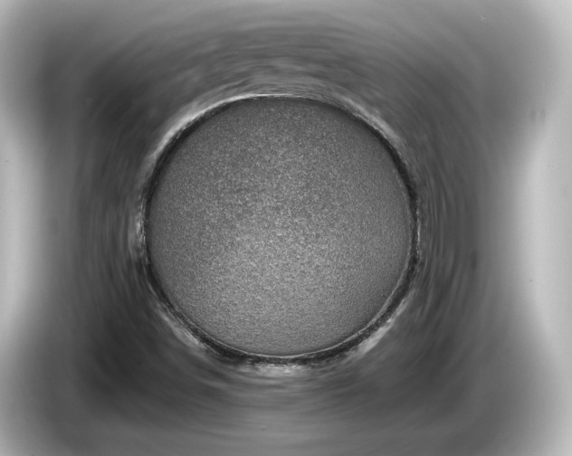 X0000085771498200703161129