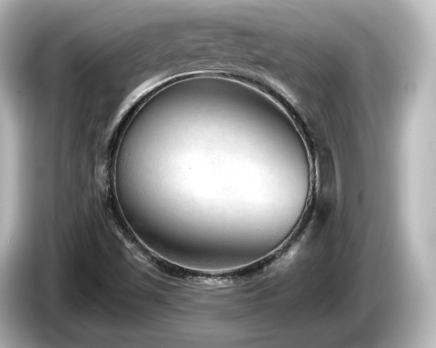 X0000085771501200703161129