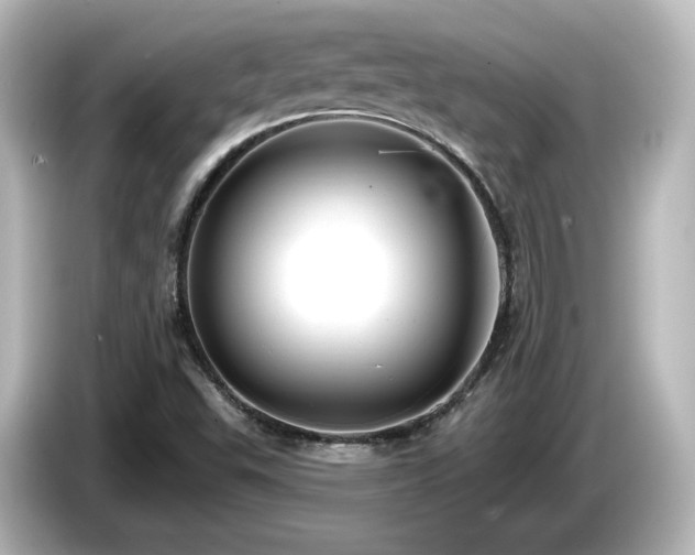 X0000085771503200703161129