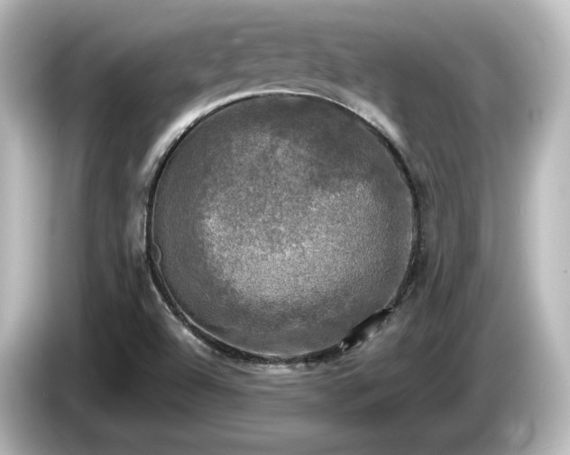 X0000085771504200703161129