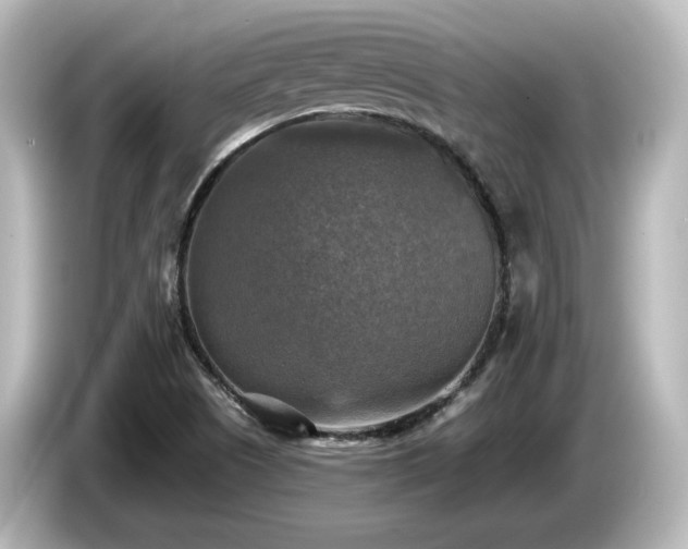 X0000085771505200703161129