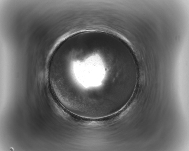 X0000085771506200703161129