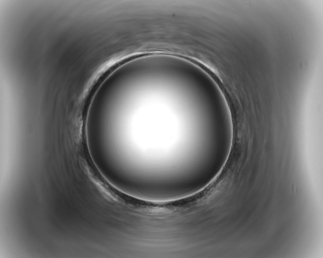 X0000085771507200703161129