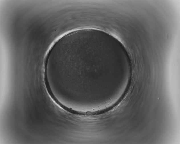 X0000085771508200703161129