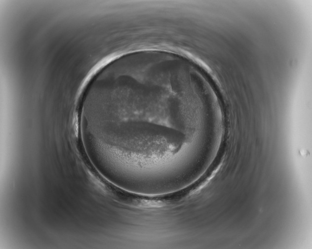 X0000085771509200703161129