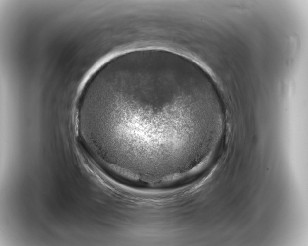 X0000085771510200703161129