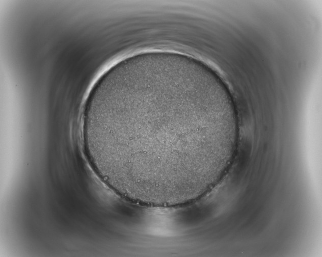 X0000085771514200703161129
