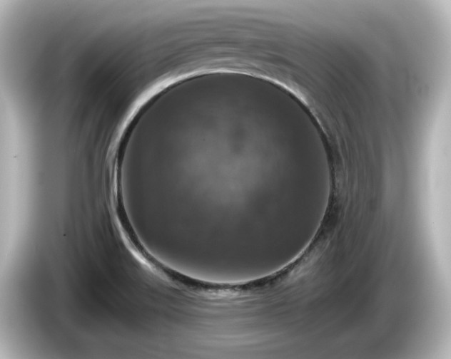 X0000085771515200703161130