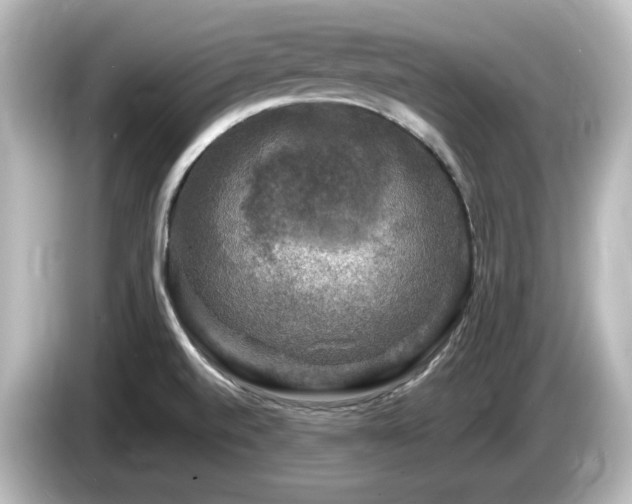 X0000085771520200703161130