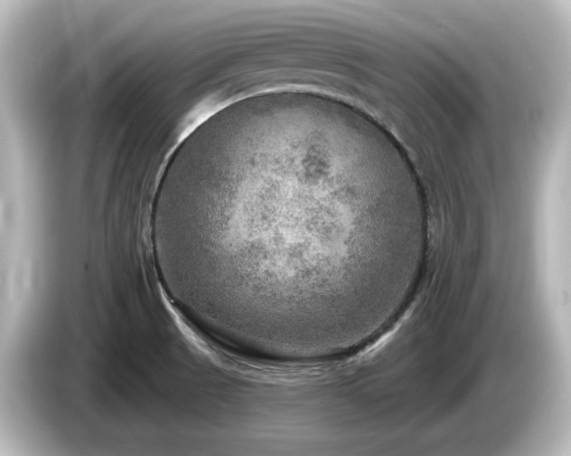 X0000085771521200703161130