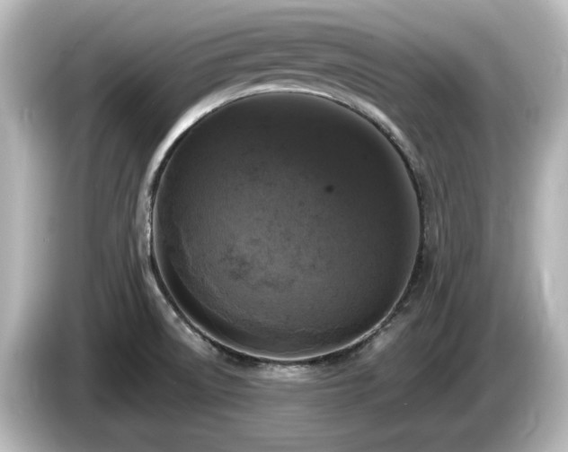 X0000085771522200703161130