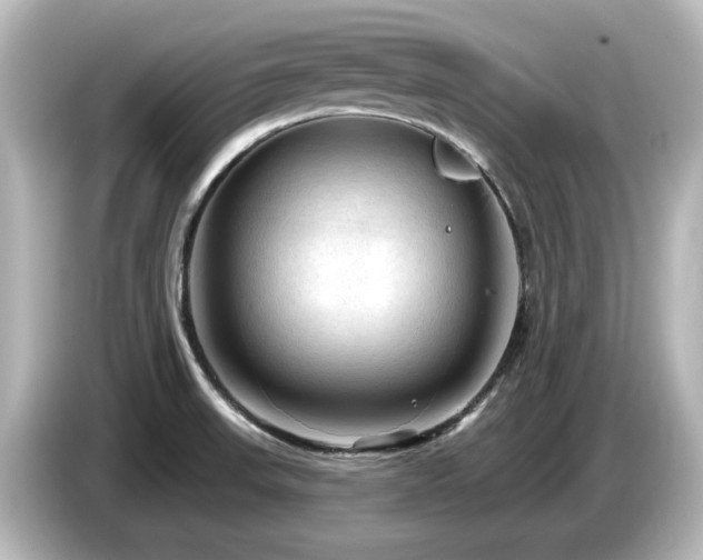 X0000085771523200703161130