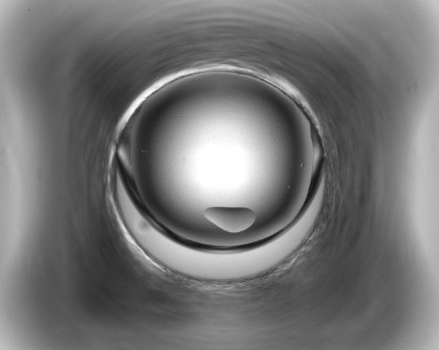 X0000085771524200703161130