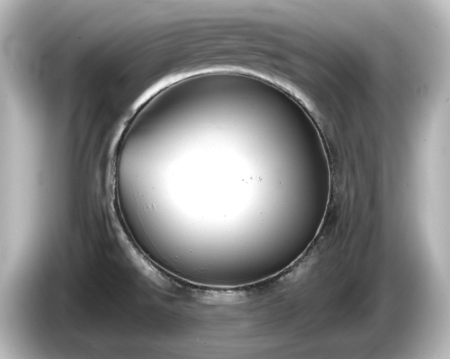 X0000085771526200703161130