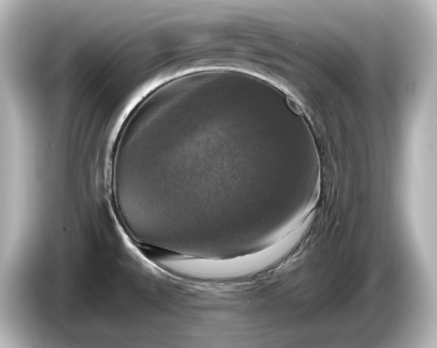 X0000085771527200703161130