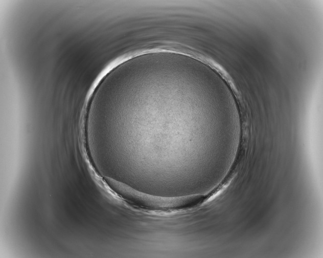 X0000085771530200703161130