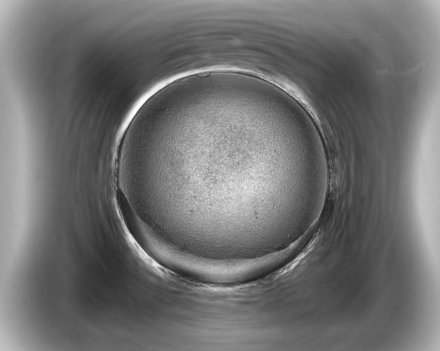 X0000085771532200703161130