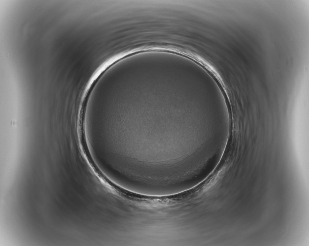 X0000085771533200703161130