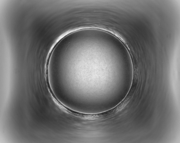 X0000085771535200703161130