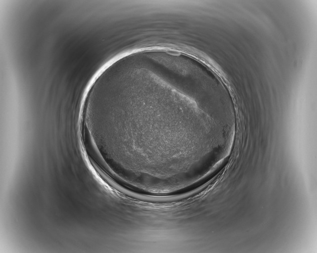 X0000085771536200703161130