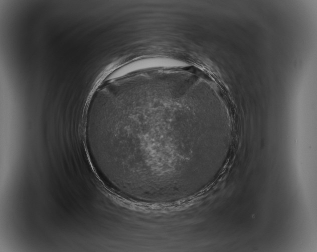 X0000085770003200703231233