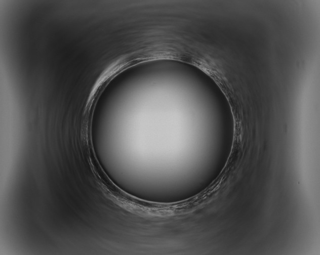 X0000085770004200703231233