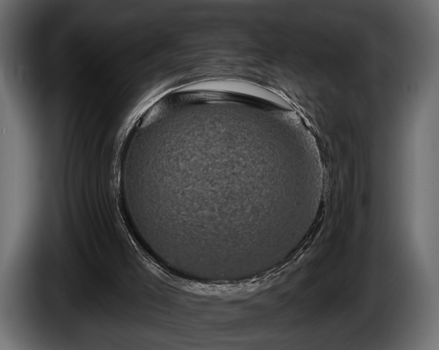 X0000085770005200703231233