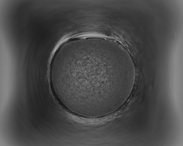 X0000085770006200703231233