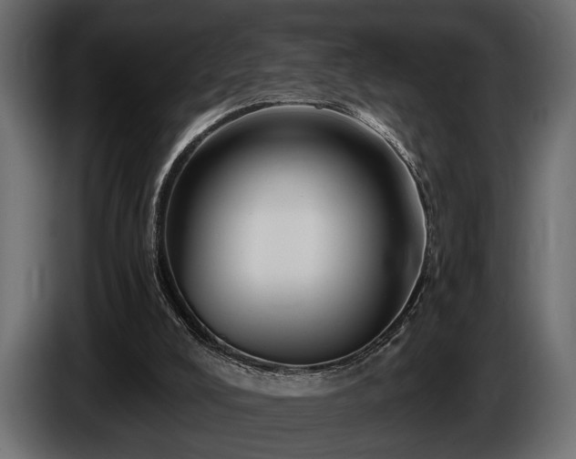 X0000085770008200703231233