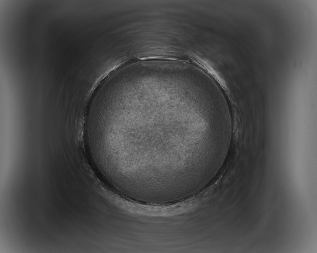 X0000085770010200703231233