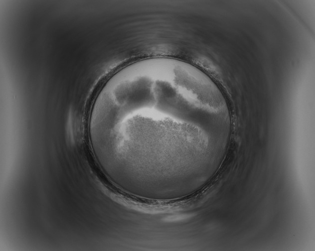 X0000085770012200703231233