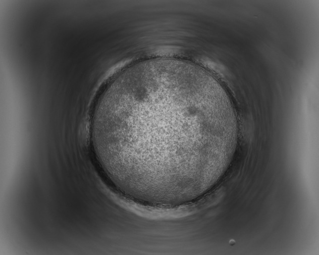 X0000085770016200703231233